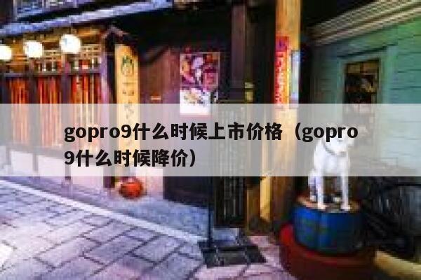 gopro9什么时候上市价格（gopro9什么时候降价） 第1张