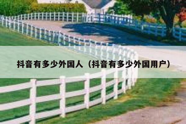 抖音有多少外国人（抖音有多少外国用户） 第1张