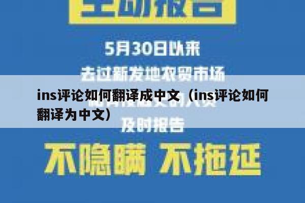 ins评论如何翻译成中文（ins评论如何翻译为中文） 第1张
