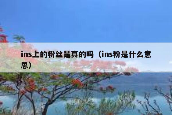 ins上的粉丝是真的吗（ins粉是什么意思） 第1张