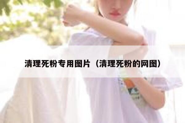 清理死粉专用图片（清理死粉的网图） 第1张