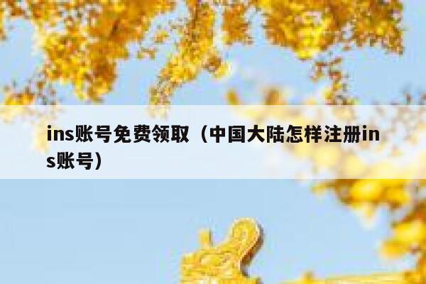 ins账号免费领取（中国大陆怎样注册ins账号） 第1张
