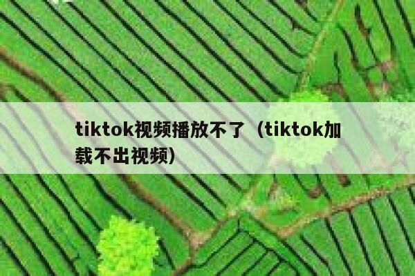 tiktok视频播放不了（tiktok加载不出视频） 第1张
