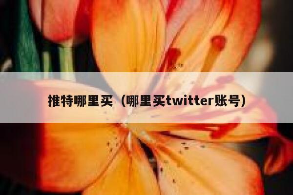 推特哪里买（哪里买twitter账号） 第1张