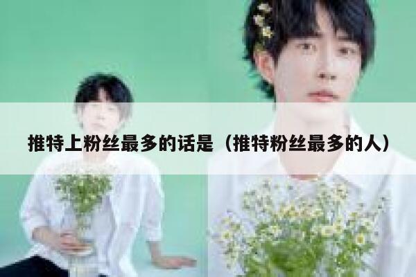 推特上粉丝最多的话是（推特粉丝最多的人） 第1张