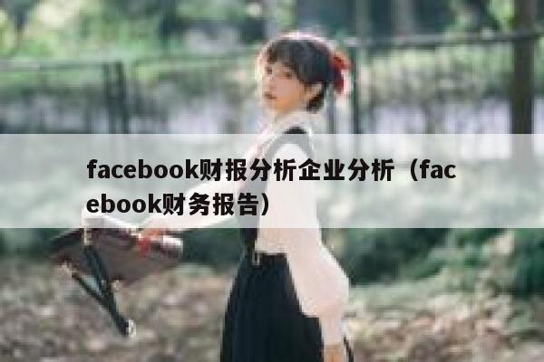 facebook财报分析企业分析（facebook财务报告） 第1张