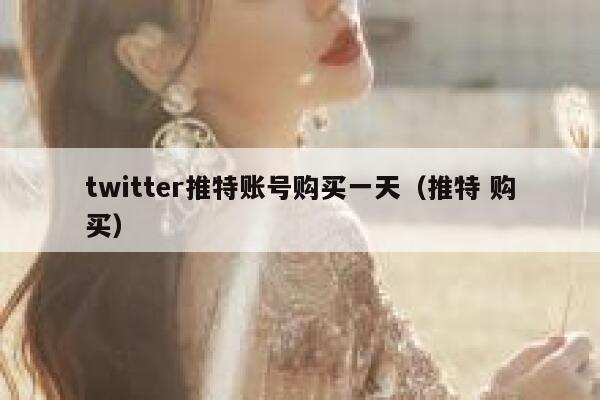 twitter推特账号购买一天（推特 购买） 第1张