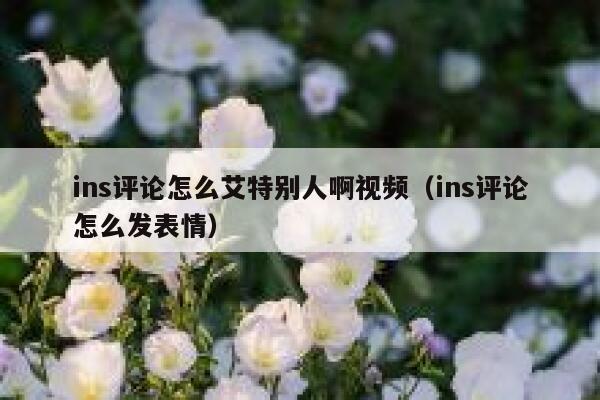 ins评论怎么艾特别人啊视频（ins评论怎么发表情） 第1张