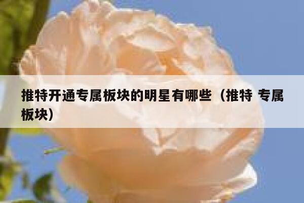 推特开通专属板块的明星有哪些（推特 专属板块） 第1张