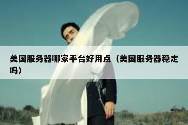 美国服务器哪家平台好用点（美国服务器稳定吗） 第1张