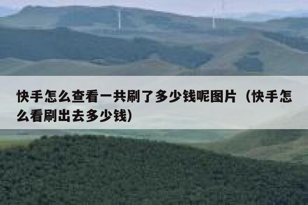 快手怎么查看一共刷了多少钱呢图片（快手怎么看刷出去多少钱） 第1张