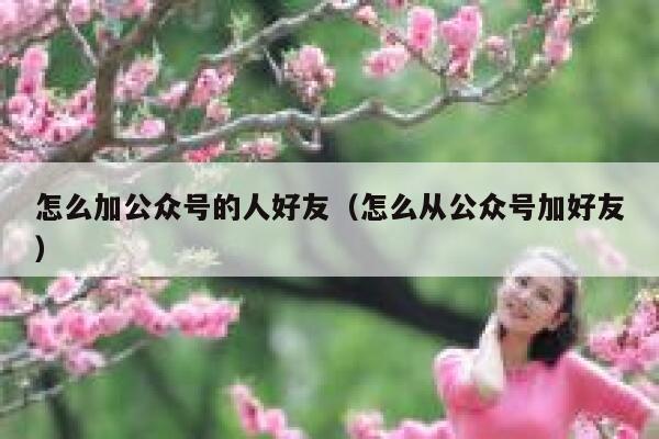 怎么加公众号的人好友（怎么从公众号加好友） 第1张