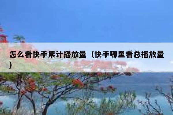 怎么看快手累计播放量（快手哪里看总播放量） 第1张