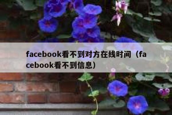 facebook看不到对方在线时间（facebook看不到信息） 第1张