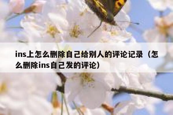 ins上怎么删除自己给别人的评论记录（怎么删除ins自己发的评论） 第1张