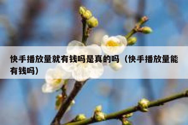 快手播放量就有钱吗是真的吗（快手播放量能有钱吗） 第1张