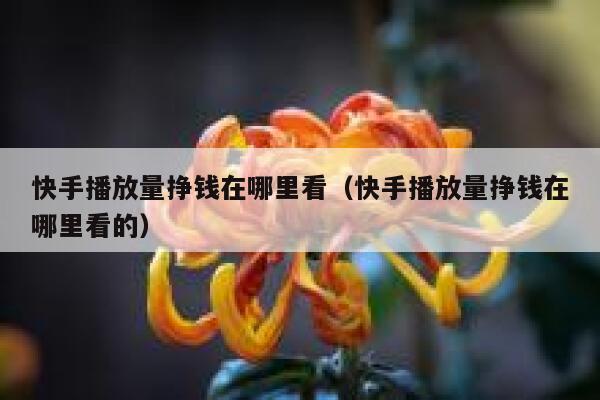 快手播放量挣钱在哪里看（快手播放量挣钱在哪里看的） 第1张