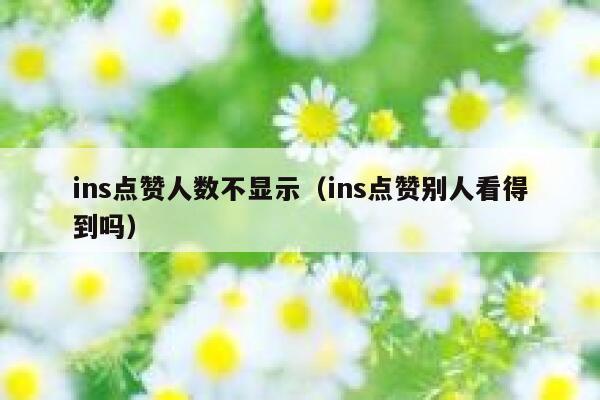 ins点赞人数不显示（ins点赞别人看得到吗） 第1张