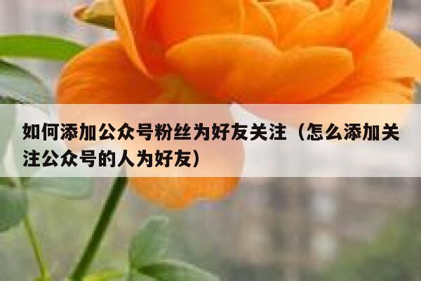 如何添加公众号粉丝为好友关注（怎么添加关注公众号的人为好友） 第1张