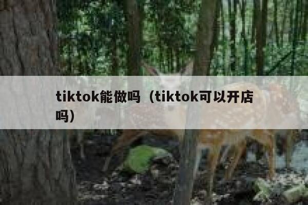 tiktok能做吗（tiktok可以开店吗） 第1张