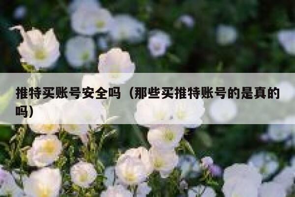 推特买账号安全吗（那些买推特账号的是真的吗） 第1张