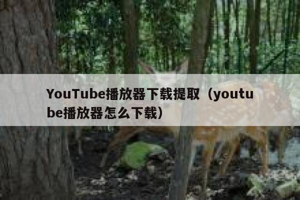YouTube播放器下载提取（youtube播放器怎么下载） 第1张