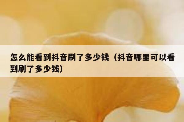 怎么能看到抖音刷了多少钱（抖音哪里可以看到刷了多少钱） 第1张