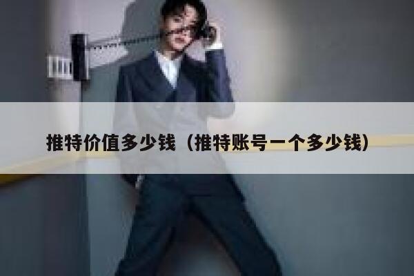 推特价值多少钱（推特账号一个多少钱） 第1张