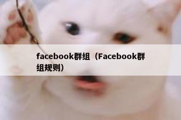 facebook群组（Facebook群组规则） 第1张