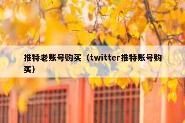推特老账号购买（twitter推特账号购买） 第1张