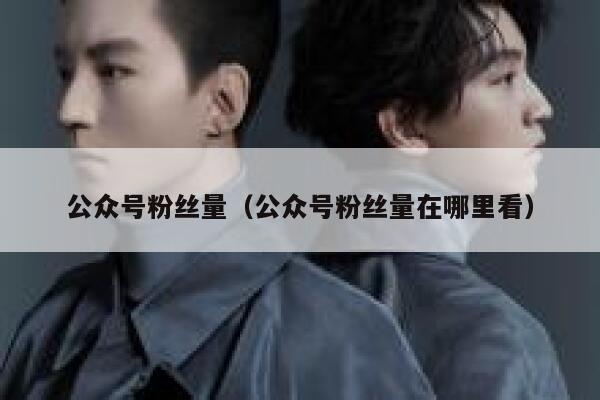 公众号粉丝量（公众号粉丝量在哪里看） 第1张