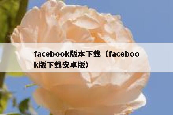 facebook版本下载（facebook版下载安卓版） 第1张