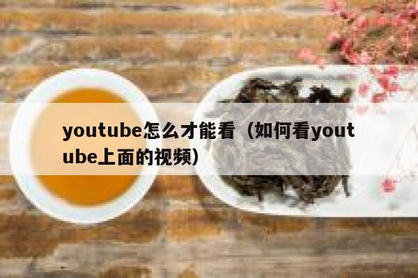 youtube怎么才能看（如何看youtube上面的视频） 第1张