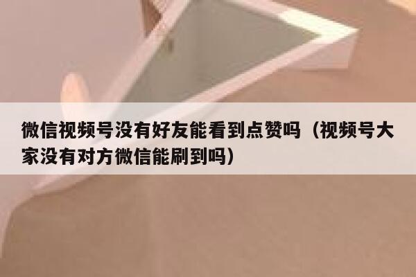 微信视频号没有好友能看到点赞吗（视频号大家没有对方微信能刷到吗） 第1张