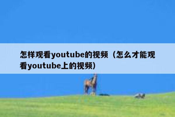怎样观看youtube的视频（怎么才能观看youtube上的视频） 第1张