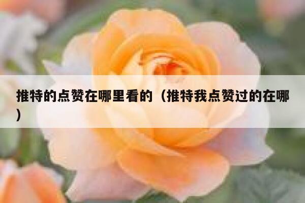 推特的点赞在哪里看的（推特我点赞过的在哪） 第1张