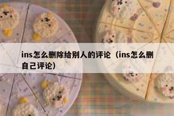 ins怎么删除给别人的评论（ins怎么删自己评论） 第1张