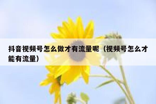 抖音视频号怎么做才有流量呢（视频号怎么才能有流量） 第1张