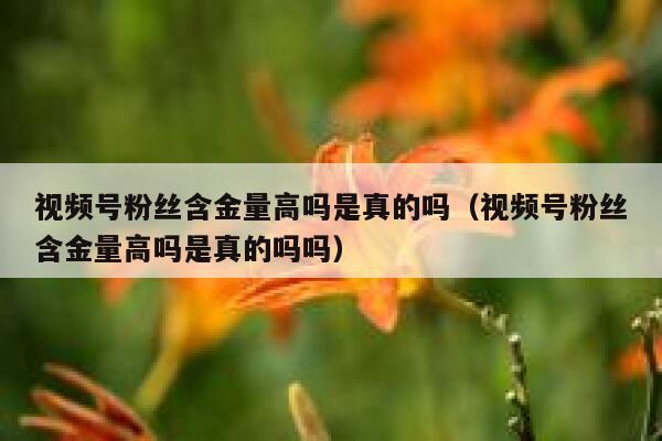 视频号粉丝含金量高吗是真的吗（视频号粉丝含金量高吗是真的吗吗） 第1张