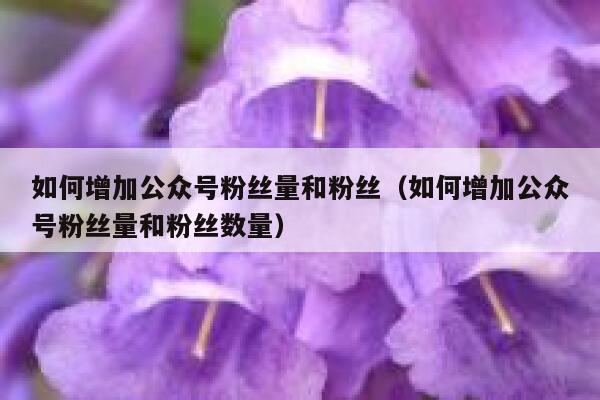 如何增加公众号粉丝量和粉丝（如何增加公众号粉丝量和粉丝数量） 第1张