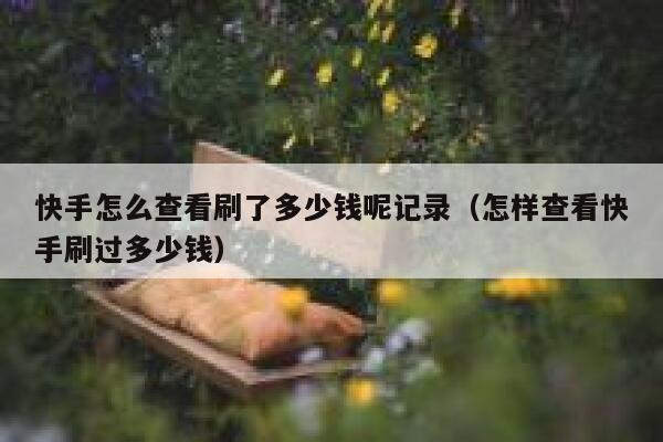 快手怎么查看刷了多少钱呢记录（怎样查看快手刷过多少钱） 第1张