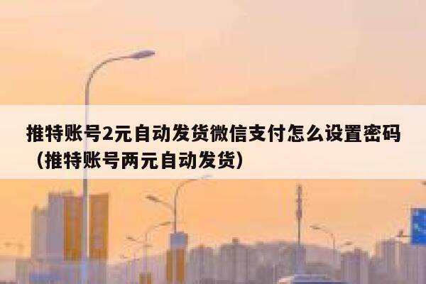 推特账号2元自动发货微信支付怎么设置密码（推特账号两元自动发货） 第1张