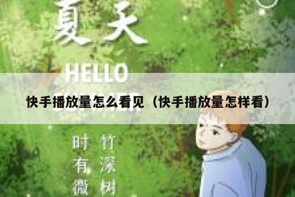 快手播放量怎么看见（快手播放量怎样看） 第1张