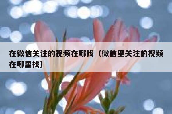 在微信关注的视频在哪找（微信里关注的视频在哪里找） 第1张