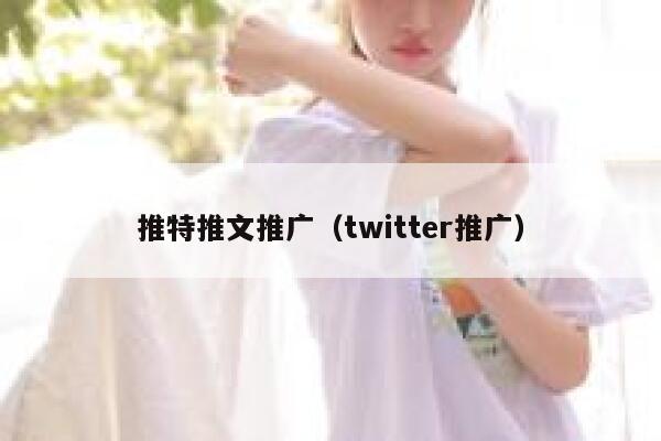 推特推文推广（twitter推广） 第1张