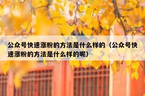 公众号快速涨粉的方法是什么样的（公众号快速涨粉的方法是什么样的呢） 第1张