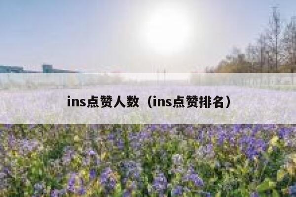 ins点赞人数（ins点赞排名） 第1张