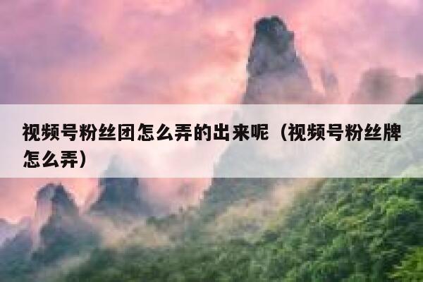 视频号粉丝团怎么弄的出来呢（视频号粉丝牌怎么弄） 第1张