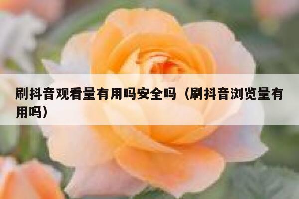 刷抖音观看量有用吗安全吗（刷抖音浏览量有用吗） 第1张