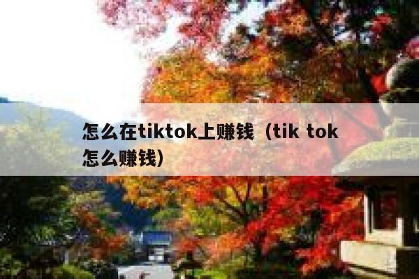 怎么在tiktok上赚钱（tik tok怎么赚钱） 第1张
